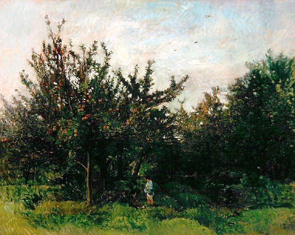 An Apple Orchard