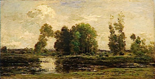 The pond