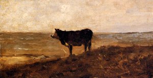 The Lone Cow